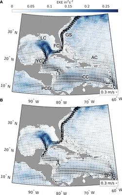 Exploitation Drives Changes in the Population Connectivity of Queen Conch (Aliger gigas)